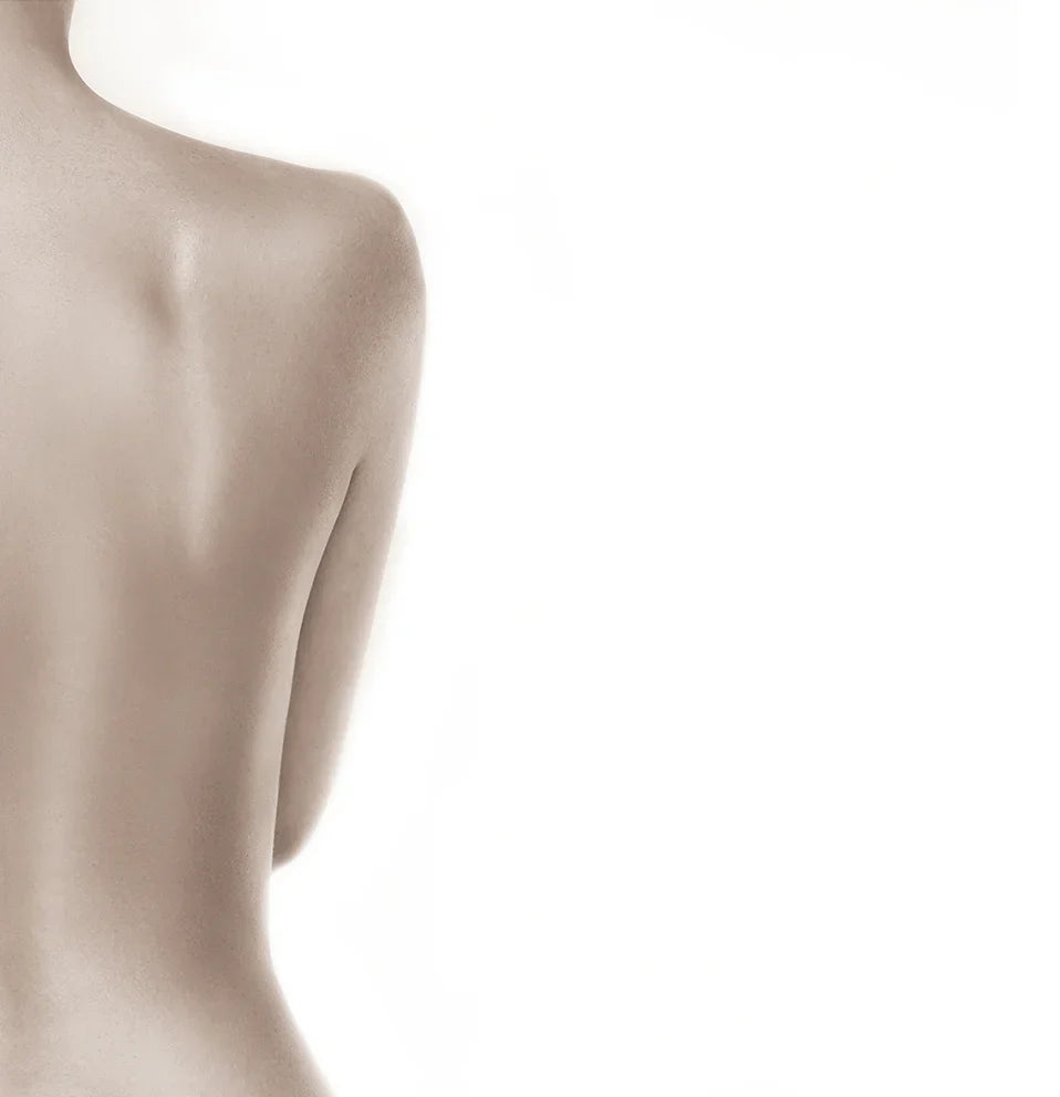 Body Lotion & Oils